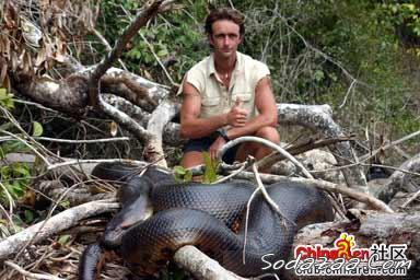  Anaconda Hijau, Ular terbesar di dunia